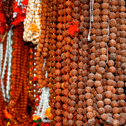 Rajasthan - Hanging Rudraksha (with Frame)