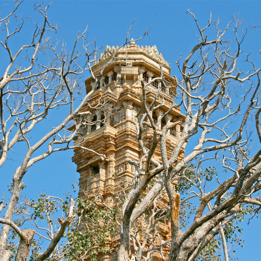 Chittorgarh, Rajasthan, Vijaya Stambh, Indian Heritage, Art, Culture