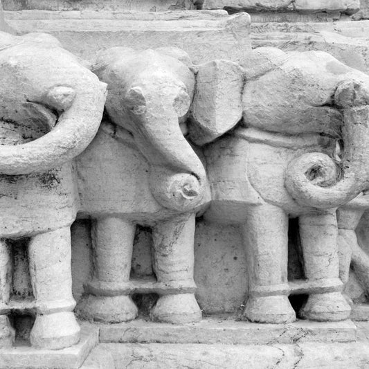 Rajasthan - Temple Sculpture of Elephant (with Frame)