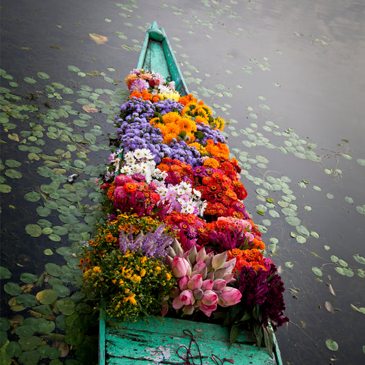 Ladakh - Srinagar Nagina Lake Flower Boat (with Frame)