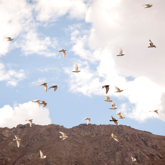 Ladakh - Kargil Leh Road (with Frame)