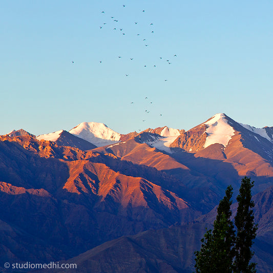 Ladakh - Leh Mountain Range. Ladakh is most famous for breathtaking landscapes, the crystal clear skies, the highest mountain passes, thrilling adventure activities, Buddhist Monasteries and festivals. (_MG_5812 Ladakh Col) This Fine Art Photograph is printed on Canvas.