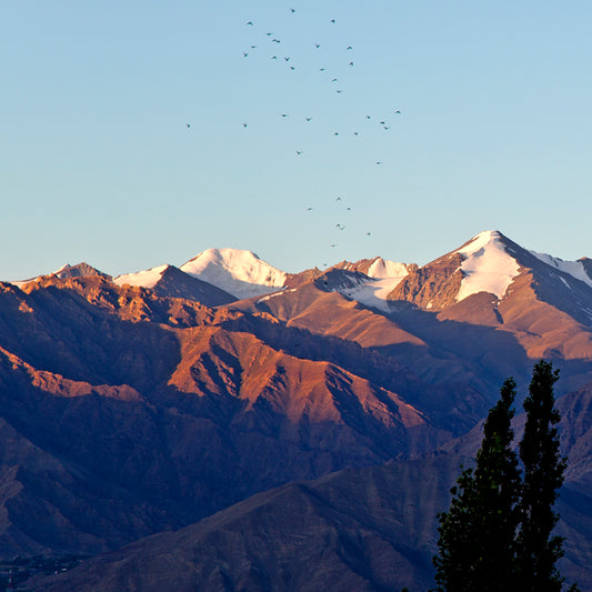 Ladakh - Leh Snow Peaks (with Frame)