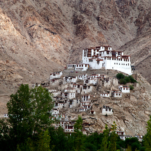 Ladakh - Shey Monastery at Leh (with Frame)