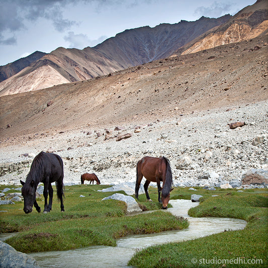 Ladakh - Way to Pengong Tso. Ladakh is most famous for breathtaking landscapes, the crystal clear skies, the highest mountain passes, thrilling adventure activities, Buddhist Monasteries and festivals. (_MG_6054 Ladakh Col) This Fine Art Photograph is printed on Canvas.