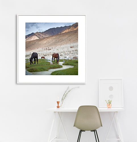 Ladakh - Way to Pengong Tso. Ladakh is most famous for breathtaking landscapes, the crystal clear skies, the highest mountain passes, thrilling adventure activities, Buddhist Monasteries and festivals. (_MG_6054 Ladakh Col) This Fine Art Photograph is printed on Canvas.