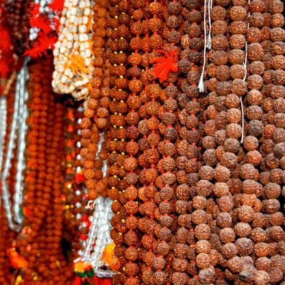 Rajasthan - Hanging Rudraksha  (with Frame)