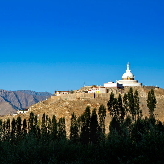Ladakh - Shanti Stupa Leh (with Frame)