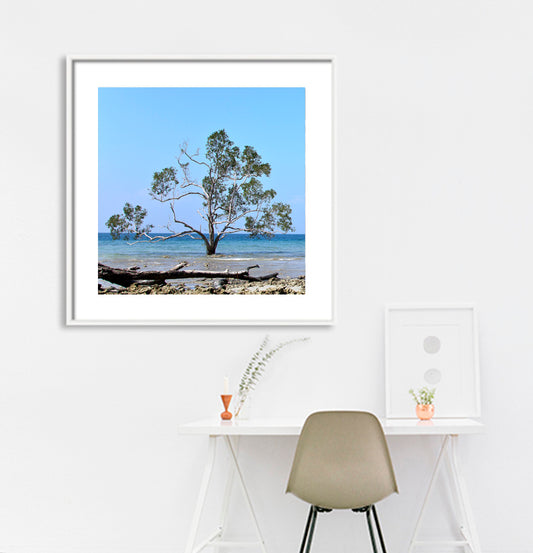 Andaman - Sea Scape with Trees (with Frame)