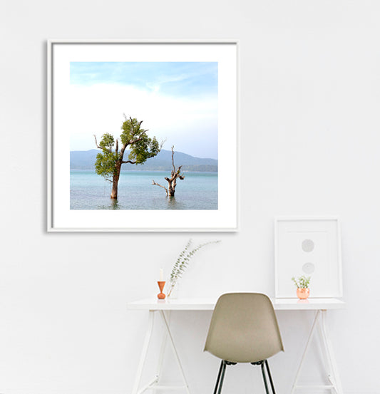 Andaman - Sea Scape with Trees (with Frame)